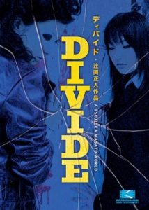 Divide 2006