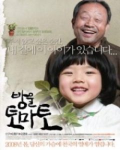 Cherry Tomato 2007