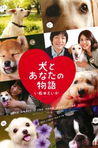 All About My Dog 2011