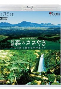 Heal in Kyushu 2013