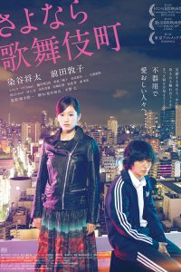 Kabukicho Love Hotel 2015