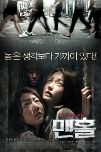 Manhole 2014