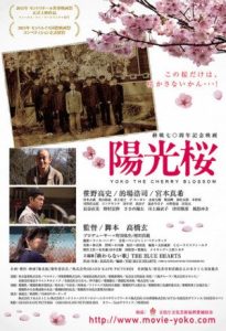 Yôkô the Cherry Blossom 2015