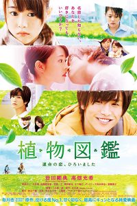 Evergreen Love 2016
