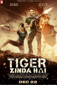 Tiger Zinda Hai 2017