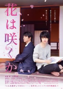 Does the Flower Bloom 2018