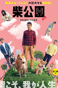 Shiba Park 2019