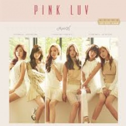 APink LUV 2014
